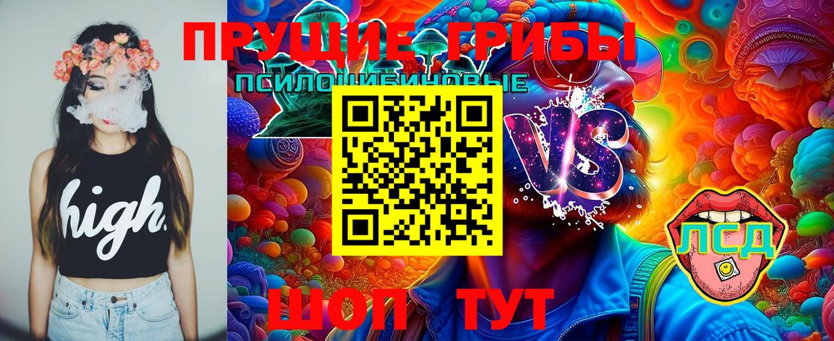 дарнет шоп  Вход с VPN  Благодарный  Галлюциногенные грибы GOLDEN TEACHER 