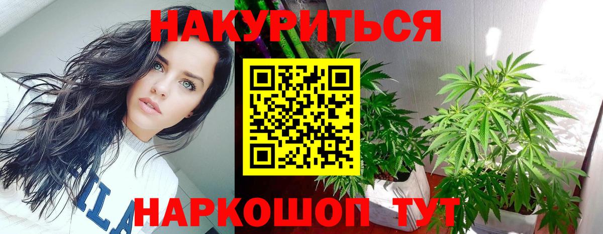 Бошки Шишки марихуана  Марихуана Amnesia  Благодарный  Вход с VPN 